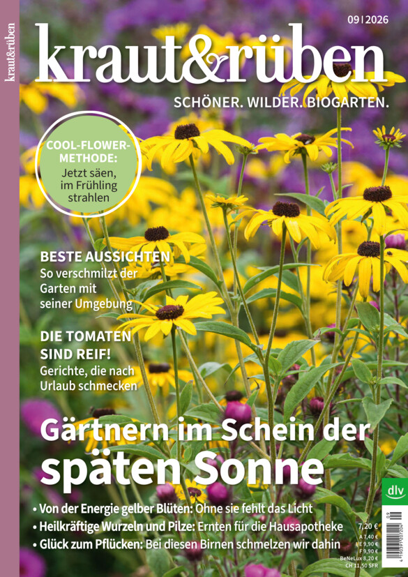 kraut&rüben vom Mittwoch, 19.08.2026
