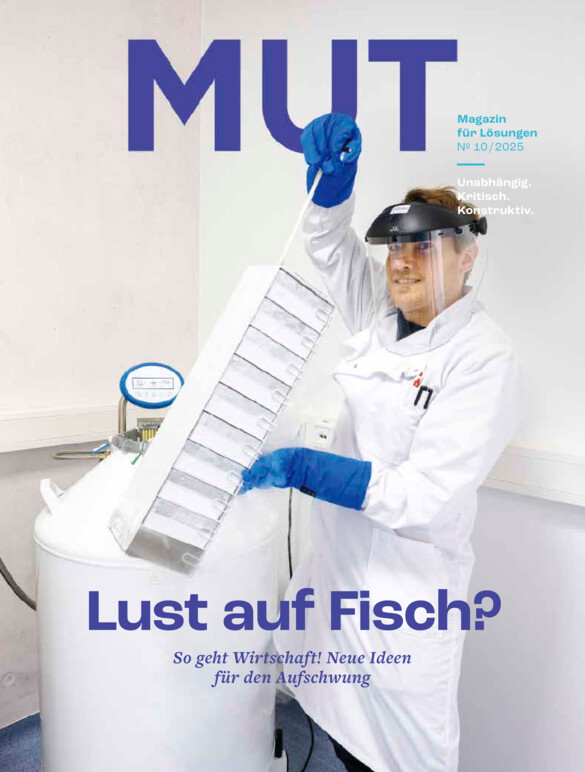 MUT vom Freitag, 24.10.2025